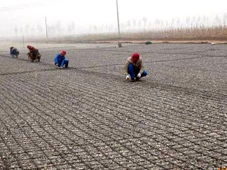 河南機(jī)場路鋼塑格柵施工