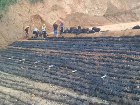 廣東東莞生態(tài)護(hù)坡單向格柵