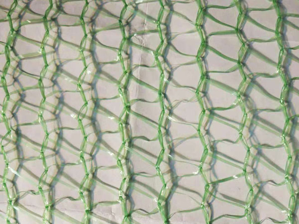 2針?lè)缐m網(wǎng)