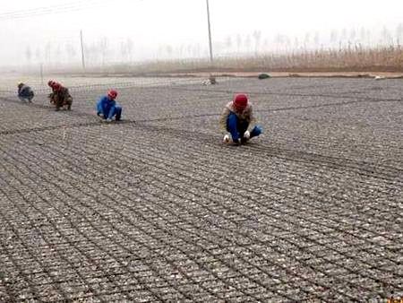 河南機(jī)場(chǎng)路鋼塑格柵施工