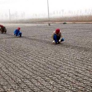 河南機(jī)場路鋼塑格柵施工