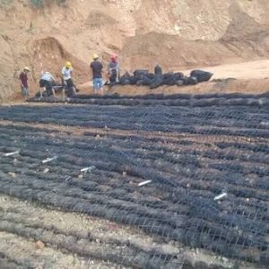 廣東東莞生態(tài)護(hù)坡單向格柵